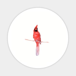 cardinal Magnet